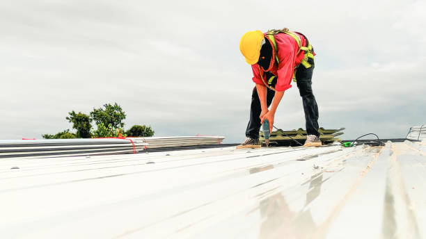 Best Green or Eco-Friendly Roofing Solutions  in Eddystone, PA