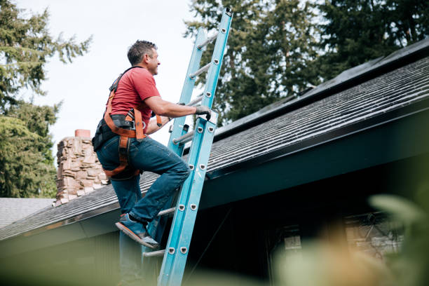 Best Roof Moss and Algae Removal  in Eddystone, PA